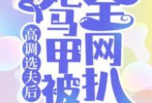 《高调选夫后,她马甲被全网扒了》小说章节列表免费试读, 梨烟温西沉小说在线阅读-贝壳文学