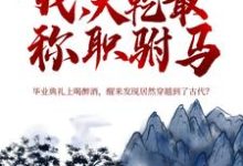 我，大乾最称职驸马这本小说怎么样？免费在线阅读试试-贝壳文学