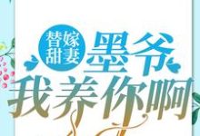 主角 夏汐梓墨凛小说替嫁甜妻：墨爷，我养你啊免费阅读-贝壳文学