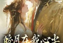 主人公苏清绾晏明绝小说皎月在我心尖，也在我怀里在线章节阅读-贝壳文学