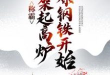 已完结小说《称霸:从架起高炉冶炼钢铁开始》章节免费阅读-贝壳文学