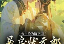 公主沦为阶下囚，暴戾状元郎失控了小说阅读，公主沦为阶下囚，暴戾状元郎失控了完结版-贝壳文学