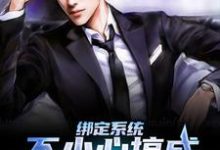 主角叫苏文的小说在哪阅读-贝壳文学