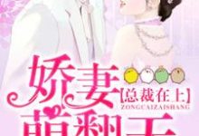 男女主人公何聪聪沈傅岳小说总裁在上:娇妻萌翻天章节免费阅读-贝壳文学