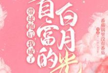 霸总歇歇吧，夫人都走三年了顾寒迟时吟，霸总歇歇吧，夫人都走三年了章节在线阅读-贝壳文学