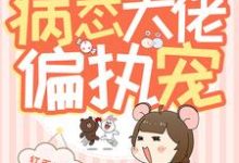 男女主人公叫博思雅祁域然的小说免费资源-贝壳文学