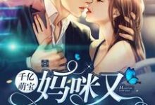 叶挽宁薄湛言小说在哪里可以看-贝壳文学
