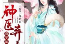 神医弃女,将军是妻奴最新章节,神医弃女,将军是妻奴免费阅读-贝壳文学