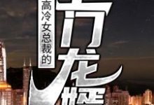 高冷女总裁的上门龙婿小说无弹窗阅读的网站推荐-贝壳文学