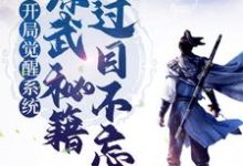 赢启徐胭脂为主角的小说好看吗？免费读开局觉醒系统，综武秘籍我过目不忘-贝壳文学
