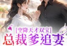 求空降天才双宝,总裁爹追妻太疯狂小说的全文免费阅读链接-贝壳文学
