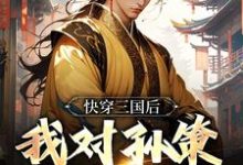《快穿三国后，我对孙策斩草除根》全集免费在线阅读（袁耀）-贝壳文学
