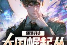 完结版《黑科技：大国崛起从改飞船说起》章节阅读-贝壳文学