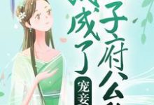 已完结小说《宠妾上位:我成了太子府公敌》章节在线阅读-贝壳文学