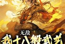 免费在线阅读无敌:我十八般武艺样样精通小说的正规网站有哪些?-贝壳文学