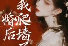 婚后，我爬墙了小说无弹窗阅读的网站推荐-贝壳文学