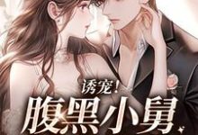 《诱宠!腹黑小舅肆意妄吻》小说主角陆迟晏宋听晚章节章节免费在线阅读-贝壳文学