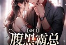 不装了，顾总与她日夜有染小说最新更新在哪里？免费在线看-贝壳文学