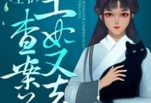 王爷，王妃又去查案了小说免费资源，王爷，王妃又去查案了在线阅读-贝壳文学