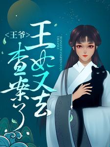 王爷，王妃又去查案了小说免费资源，王爷，王妃又去查案了在线阅读