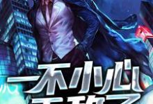 一不小心无敌了这本小说在哪里可以看？哪里有免费试读章节？-贝壳文学