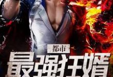 完结版《都市最强狂婿》在线免费阅读-贝壳文学
