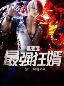 完结版《都市最强狂婿》在线免费阅读