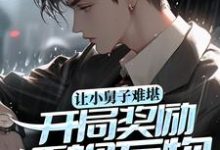 主角叫苏晨的小说在哪阅读-贝壳文学