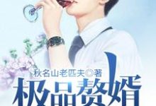 已完结小说《极品赘婿奶爸》章节在线阅读-贝壳文学