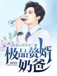 已完结小说《极品赘婿奶爸》章节在线阅读