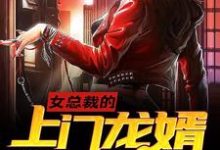 小说《女总裁的上门龙婿》章节免费阅读-贝壳文学