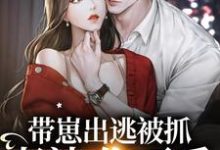 主角乔洇温苏河小说带崽出逃被抓：老婆，你不乖免费阅读-贝壳文学