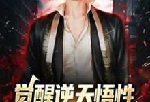 觉醒逆天悟性，我是最强祖国人小说，觉醒逆天悟性，我是最强祖国人免费阅读-贝壳文学