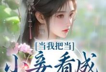 当我把当小妾看成打工后小说,当我把当小妾看成打工后免费阅读-贝壳文学