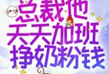 穿书后,总裁他天天加班挣奶粉钱最新章节,穿书后,总裁他天天加班挣奶粉钱免费阅读-贝壳文学