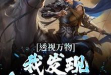 透视万物:我发现皇帝的密码苏峻,透视万物:我发现皇帝的密码最新章节-贝壳文学