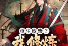 叶无双慕容雪的小说在哪里看？免费在线阅读重生废柴？我修炼顶级神功-贝壳文学