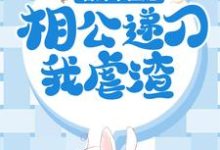 免费阅读苏棠谢柏庭为主角的小说,替嫁小医妃,相公递刀我虐渣在线看-贝壳文学