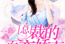 小说《总裁的百变娇妻》在线章节阅读-贝壳文学