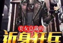 完整版的美女总裁的近身狂兵小说在哪里可以免费读到？-贝壳文学