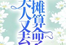 苏乔沈修瑾的故事在哪本书里?免费阅读爷,夫人又去摆摊算命了-贝壳文学