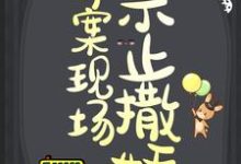 已完结小说《命案现场禁止撒娇》最新章节-贝壳文学