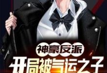 小说《神豪反派：开局被气运之子戴绿帽》章节免费阅读-贝壳文学