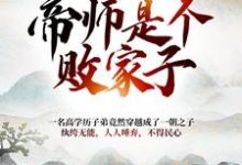 小说《大朝之势:帝师是个败家子》章节免费阅读-贝壳文学