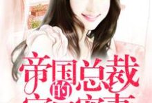 免费看帝国总裁的宝贝宠妻小说的网站有哪些?-贝壳文学
