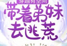 穿越有空间，带着弟妹去逃荒小说完结了吗？在哪里可以免费读到？-贝壳文学