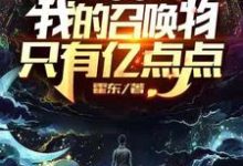在线寻找网游:我的召唤物只有亿点点小说的无删减版本-贝壳文学
