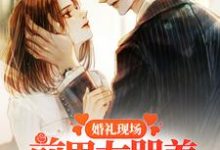 已完结小说《婚礼现场,前男友哭着求我回头》最新章节-贝壳文学