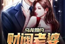 乌龙婚约：财阀老婆不香吗？小说无弹窗阅读的网站推荐-贝壳文学