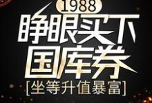 1988：睁眼买下国库券，坐等升值暴富小说，1988：睁眼买下国库券，坐等升值暴富最新章节-贝壳文学